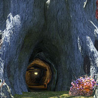 碩老樹瞑想窟 イメージ