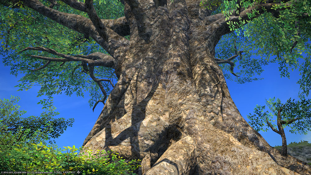 センナの大樹 ラベンダーベッド 観光ガイド Ff14 エオルゼア冒険譚
