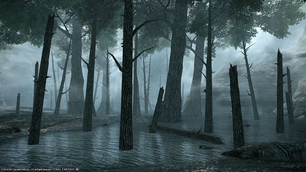 夜の森 イメージ